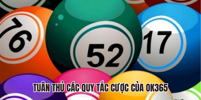 Tuân thủ các quy tắc cược của nhà cái 